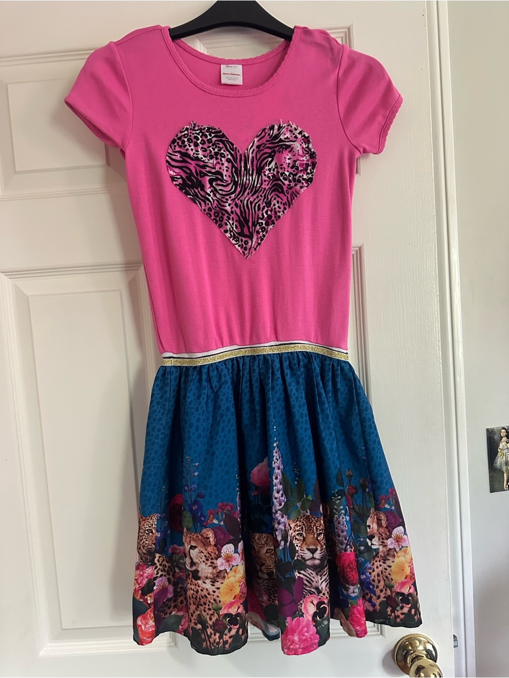 Hanna Andersson Pink Top with Blue Animal-Print Skirt Dress